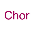RM 734 a  Chor